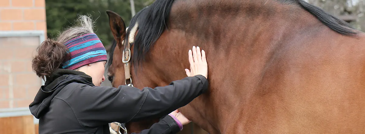 Tierheilpraktikerin bei der Behandlung eines Pferdes